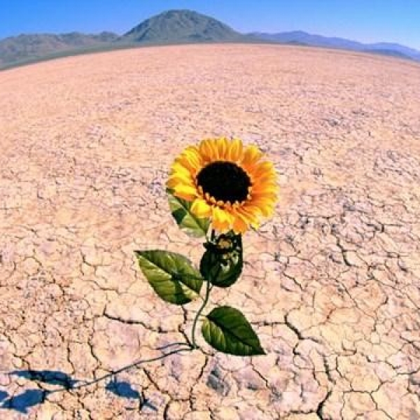 resilienza